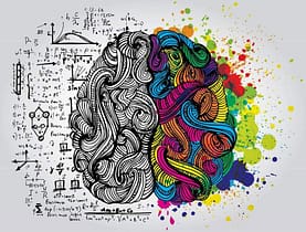 Lo stress da paura e povertà cambia il cervello cervello-cambiato-dalla-povertà-paura