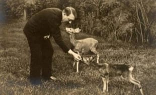 Ecologismo nazista ecologismo nazista