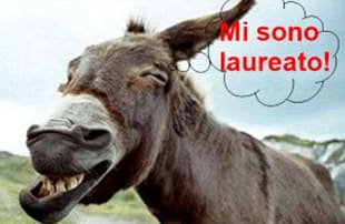 Insegnanti, laureati e ignoranti laureati ignoranti