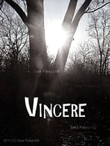 L'importante è partecipare (buonanotte) importante-è-partecipare