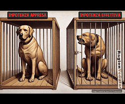 Impotenza effettiva e impotenza appresa, psicologia impotenza appresa impotenza effettiva psicologia - ragionveduta.it