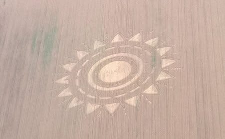 Crop circle Collegno luglio 2015