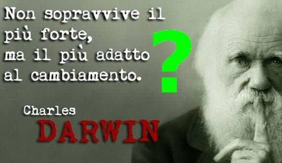 Darwin selezione adattamento