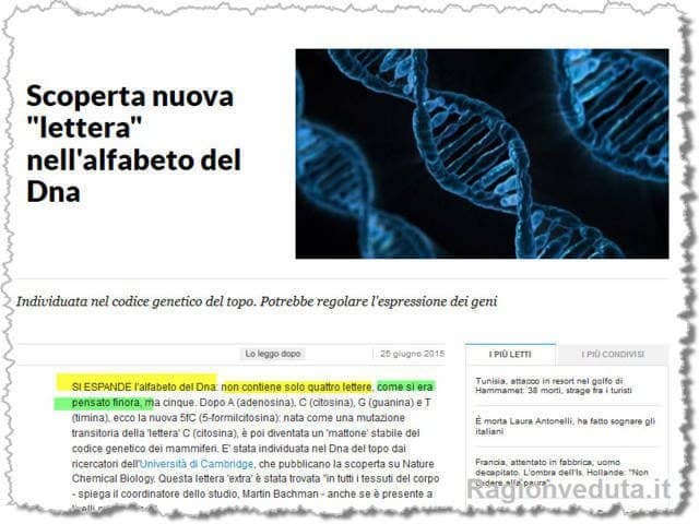 spazzatura errore successo