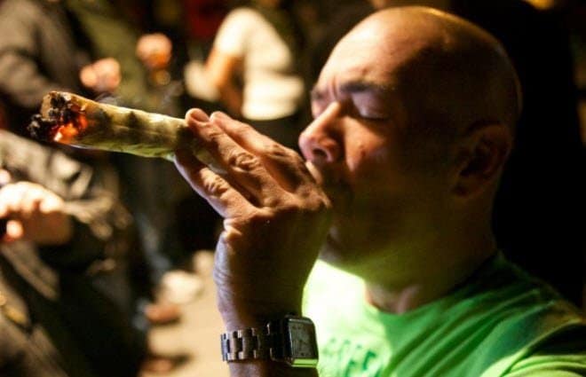 Fumatore di cannabis